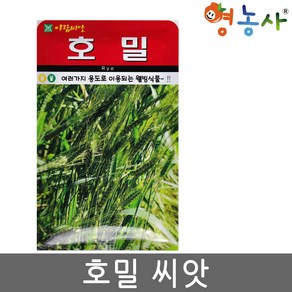 호밀 씨앗 30g 호밀 씨 종자 녹비 작물, 1개