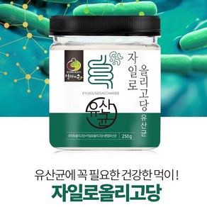 자일로 올리고당 유산균 분말 (250g ) 프락토올리고당 혼합유산균19종, 1개