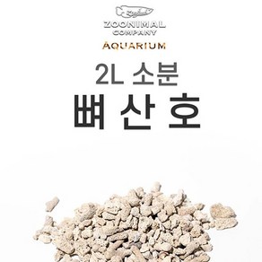 대형섬프 소형 수족관 어항[해수 복어어항]뼈다귀 산호 2kg (PH 유지 도움)바닥재 여과재 쇼크예방, 1개