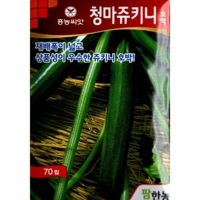 (씨앗) 청마쥬키니 - 상품성이 우수한 주키니 호박 씨앗 종자 - 70립, 1개