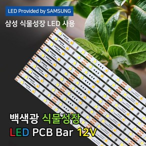 파인라이트 슈퍼팜 LED 식물성장 LED바 조명 백색광 (PCB타입) 국산 삼성LED칩 50cm 식물재배, 1개