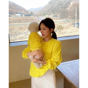 강아지옷﻿ 커플룩 옐로우 레터링 쭈리 맨투맨 4XL 견주용