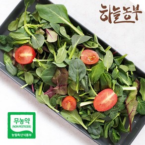 하늘농부 친환경 어린잎 채소 50g 100g