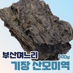 부산며느리 기장 미역 산모용 선물