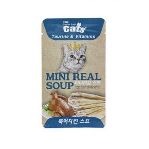 반려동물간식 미니리얼 파우치 북어 치킨 스프 40g, 1개