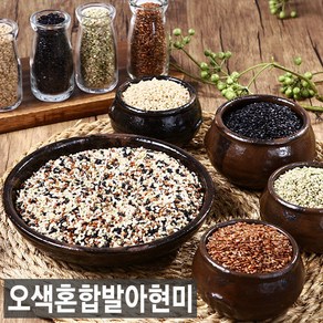 햅쌀 현미찹쌀처럼 찰진 유기농 오색발아현미 5kg, 1개