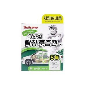 불스원 살라딘 차량 실내용 탈취 훈증캔 숲속향 본품, 64.4g, 2개