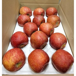 ( 최씨네 농장 ) 경북 선물용 꿀사과 (정품) 5kg, 1개, 5kg 대과 (정품)