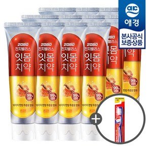 [애경] 2080 진지발리스 골드진생 치약 140g x12개 +칫솔1입 증정, 12개