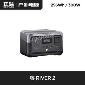 Ecoflow Rive 2 리튬 인산철 256Wh 대용량 배터리 캠핑 낚시 휴대용, RIVER 2 보관 가방