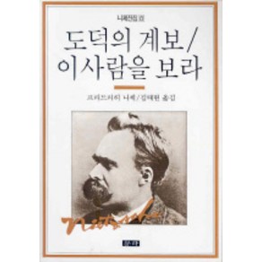 도덕의 계보 이사람을 보라(니체전집 8), 청하, 프리드리히 니체 저/김태현 역