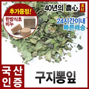 자애인 국산 꾸지뽕 잎 1200g 구찌뽕 꾸찌뽕 경북영천