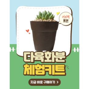 [다육화분키트] 커피박 화분 DIY 환경교육 프로그램, 1개