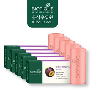 바이오티크 히말라얀플럼 바누, 150g, 5개