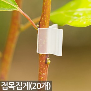 접목클립 x 20개 - 접목집게 클립 식물 채소 야채 가지 접붙이기 접목 고정 집게 모종 원예 용품 이식 도구 크립, 04_Sein_접목집게(5mm)_20개