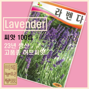 라벤더 씨앗 100립 -네델란드원산지/고품종 허브씨앗, 1개