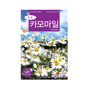 (CN) 카모마일 씨앗 (500립), 1개