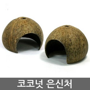 뉴런 코코넛은신처 (매우졸귀)