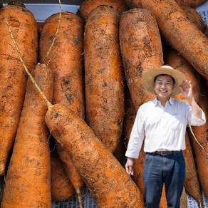 민준농산 제주 구좌 흙 당근 농장직송, 1박스, 10kg(흙 로얄중과)