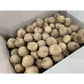 [영암상회] 국내산 감자 알감자 조림용 (크기일정X 선별X) 3KG, 1개