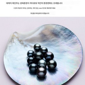 타히티 흑진주 DIY 해수산주 누드볼 커스텀 진원강광 선물녀, 블랙, 옵션7, 1개