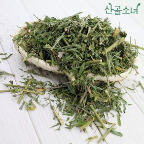 산골소녀 국내산 건조 야관문 비수리, 1개, 100g