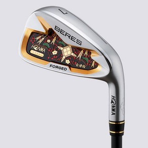 남자 골프 클럽 honma S08 아이언 세트 411 s 10 pcs 4 sta bees ss 플렉스 그라파이트 샤프트, 2) Gaphite R Flex