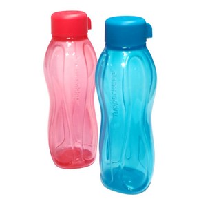 타파웨어 에코물통 텀블러 야외물통 310ml 2개세트, 2개