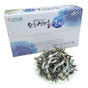 완도소안농협 멸치(대멸) 1 kg