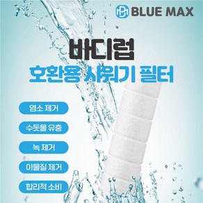 블루맥스 바디럽 샤워기 필터 녹물제거 호환필터, 알뜰형(캡없음)벌크포장, 1개