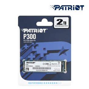 PATRIOT 패트리어트 P300 2TB M.2 NVMe SSD (GEN3/TLC/5년)