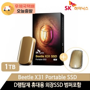 SK하이닉스 Beetle X31 DRAM 탑재 외장 SSD + 전용 케이스