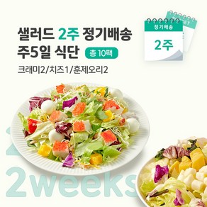 [포켓샐러드] 샐러드 2주 정기배송 주5일 (크래미2+치즈1+훈제오리2)