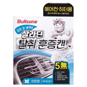 불스원 폴라패밀리 살라딘 에어컨 히터 탈취 훈증캔 민트향 본품, 65.8g, 1개