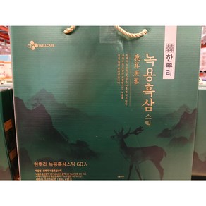 CJ 한뿌리 녹용 흑삼스틱 10g x 60개 홍삼 선물 진액, 1개, 480ml