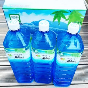 광양 백운산 고로쇠수액 당일채취 철처한 수질검사, 1.5L, 6개