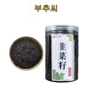 부추씨 순100% 정품 한차재료 한방재 통포장 주이유통, 1개, 250g