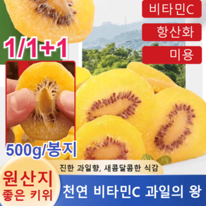 1/1+1 [천연 비타민C] 말린 키위 오가닉 말린 키위 항산화/미용 500g/봉지, 500g, 1개