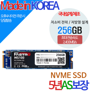 Fastro NVMe SSD