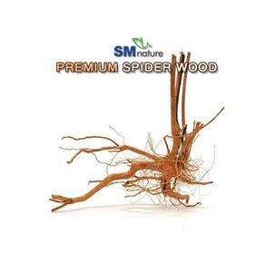 SM 프리미엄 스파이더 유목 [중], 1개