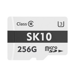 액센 SK10 Micro SD