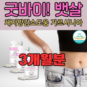 남자다이어트보조제 체지방감소 가르시니아 3박스