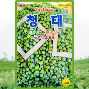 동원 청태 씨앗 30g 토종 푸르대콩씨 종자, 1개