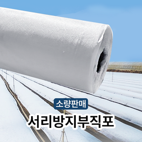 소량 농업용 서리방지 부직포 못자리 보온덮개 양마 마늘, 40g x 2m x 10m, 1개