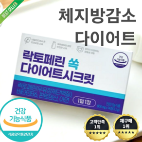 락토페린 쏙 다이어트 시크릿 초유다이어트 체지방 감소 핵심성분 100% 유럽산 체지방 내장 지방 엉덩이둘레 허리둘레 감소 뱃살 턱살 술배 똥배 컷팅 상세 참조 2024년 최신, 14회분, 2박스