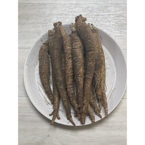 우수관리 인증-강원도 홍천 더덕 흙더덕 중 상 특, 1kg (상), 1개
