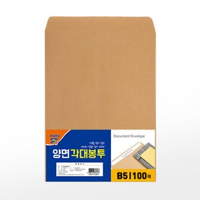 알파 양면각대봉투 B5 100매 1팩 190x260mm, 1세트