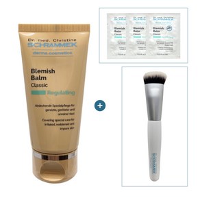 슈라멕 비비크림 블레미쉬 밤 커버 재생 클래식 30ml 1개+메이크업브러쉬 증정+체험분 3매, 1개