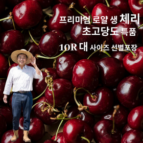 [항공 직수입] 칠레산 로얄 생 체리 고당도 프리미엄 특품 선별포장, 1개, 1kg