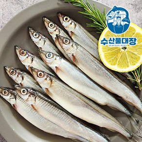 특품 알배기 열빙어 대 550g 25미 (시사모 시샤모) 선별 후 개별포장